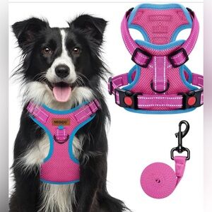 Vibrant Pink and Blue Dog Harness Set